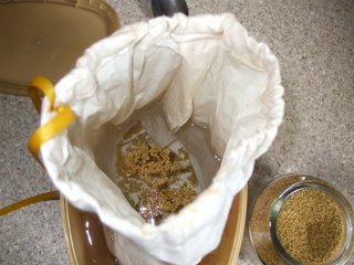 Seeds soaking in the bag